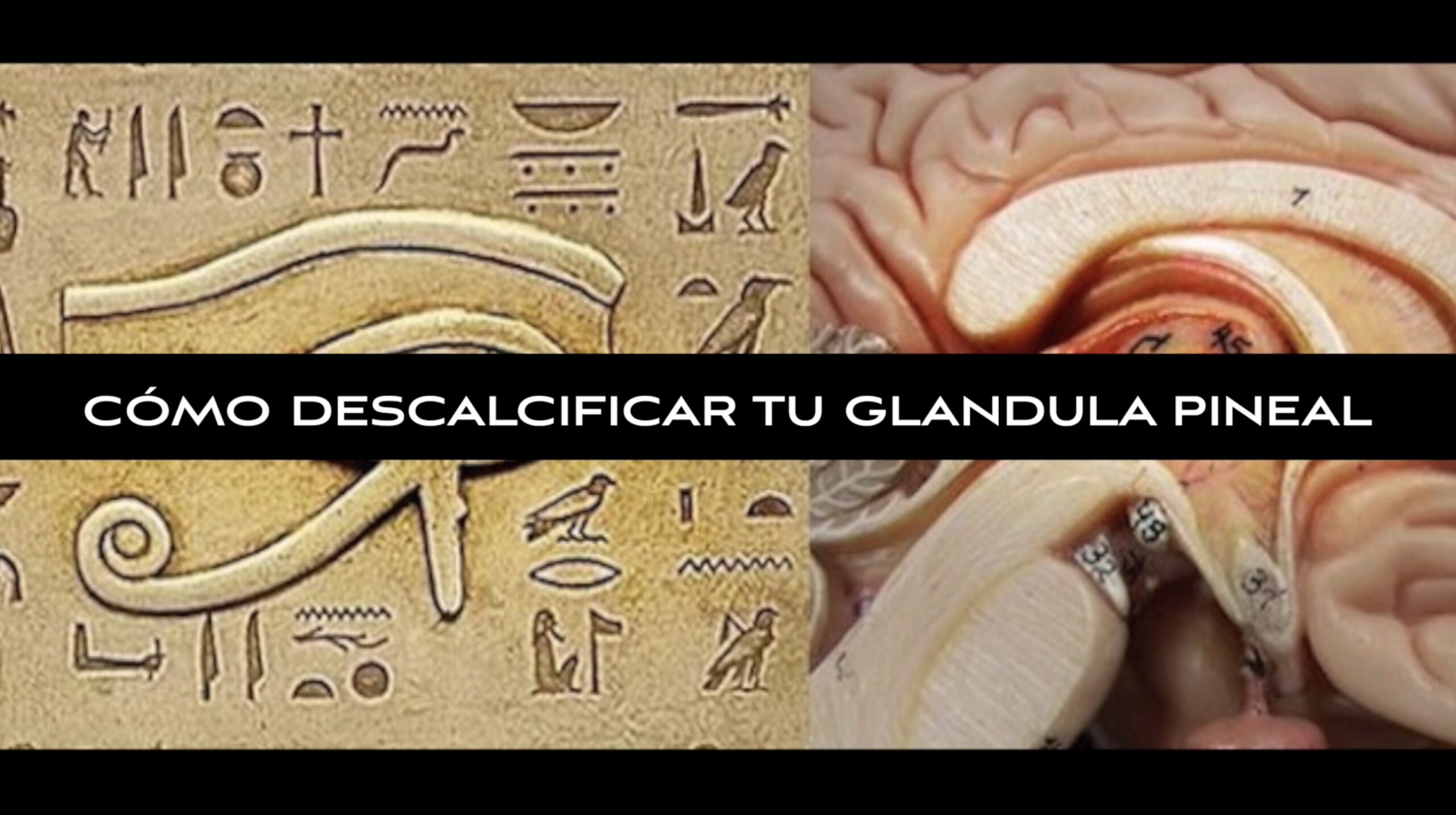 CÓMO DESCALCIFICAR TU GLANDULA PINEAL Pachamama Flat TV